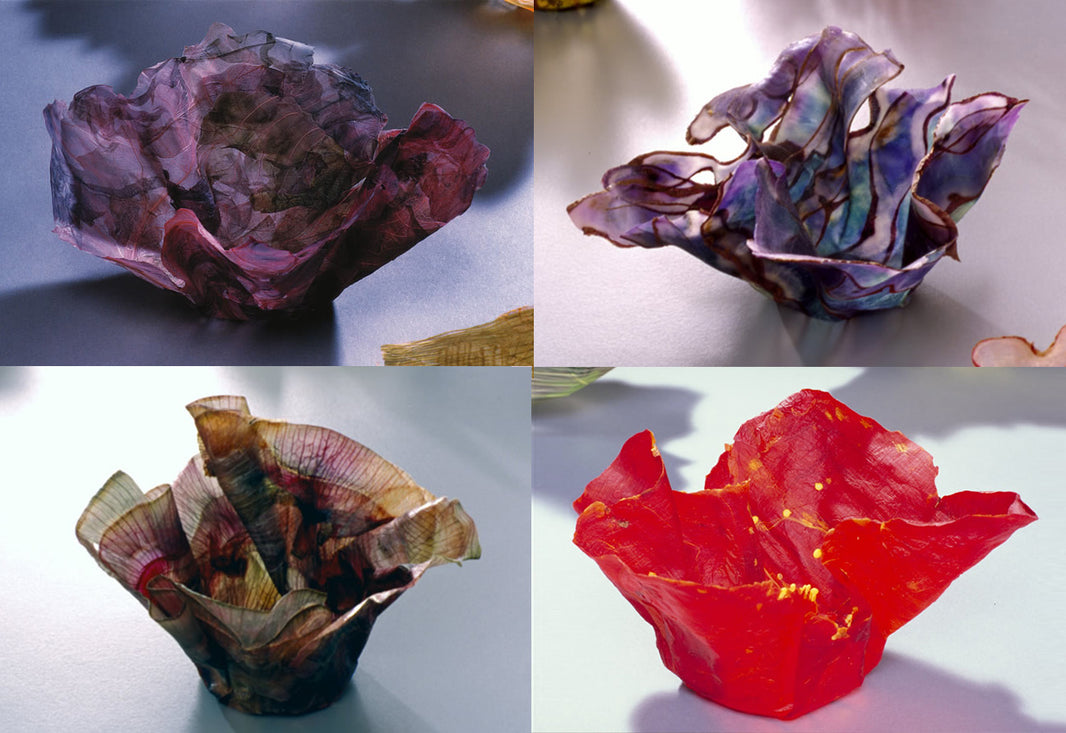 Vegetable + Fruit Parchment Bowls Our Gallery Store