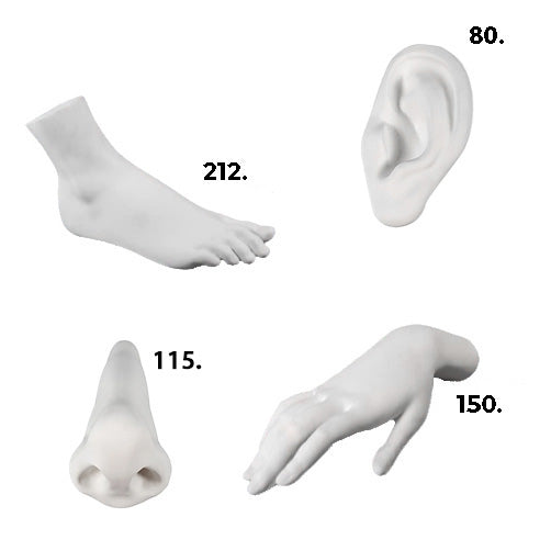Marcantonio, Porcelain "Parts of the Human Body" Collection