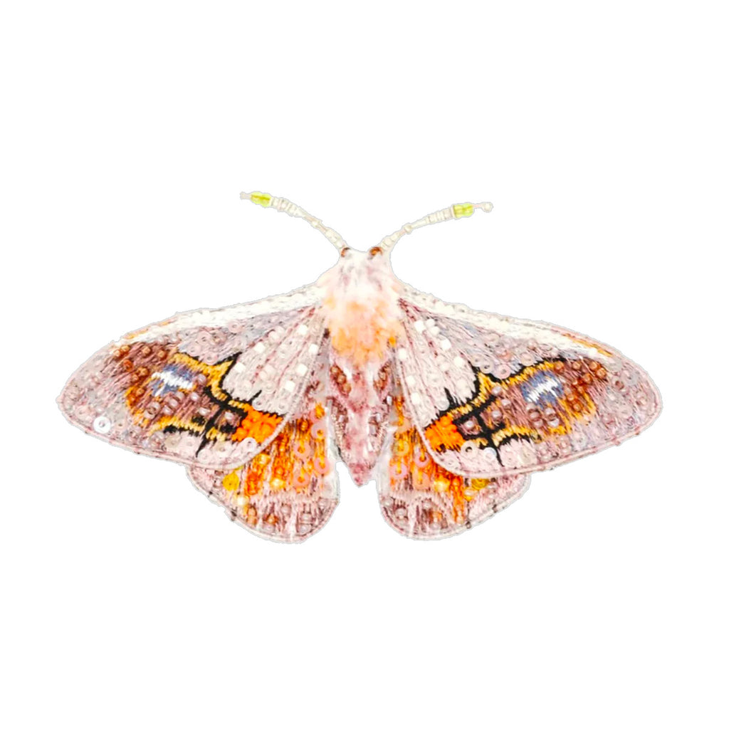 Dhruti & Seema Bawa, Drepanid Moth Brooch Pin