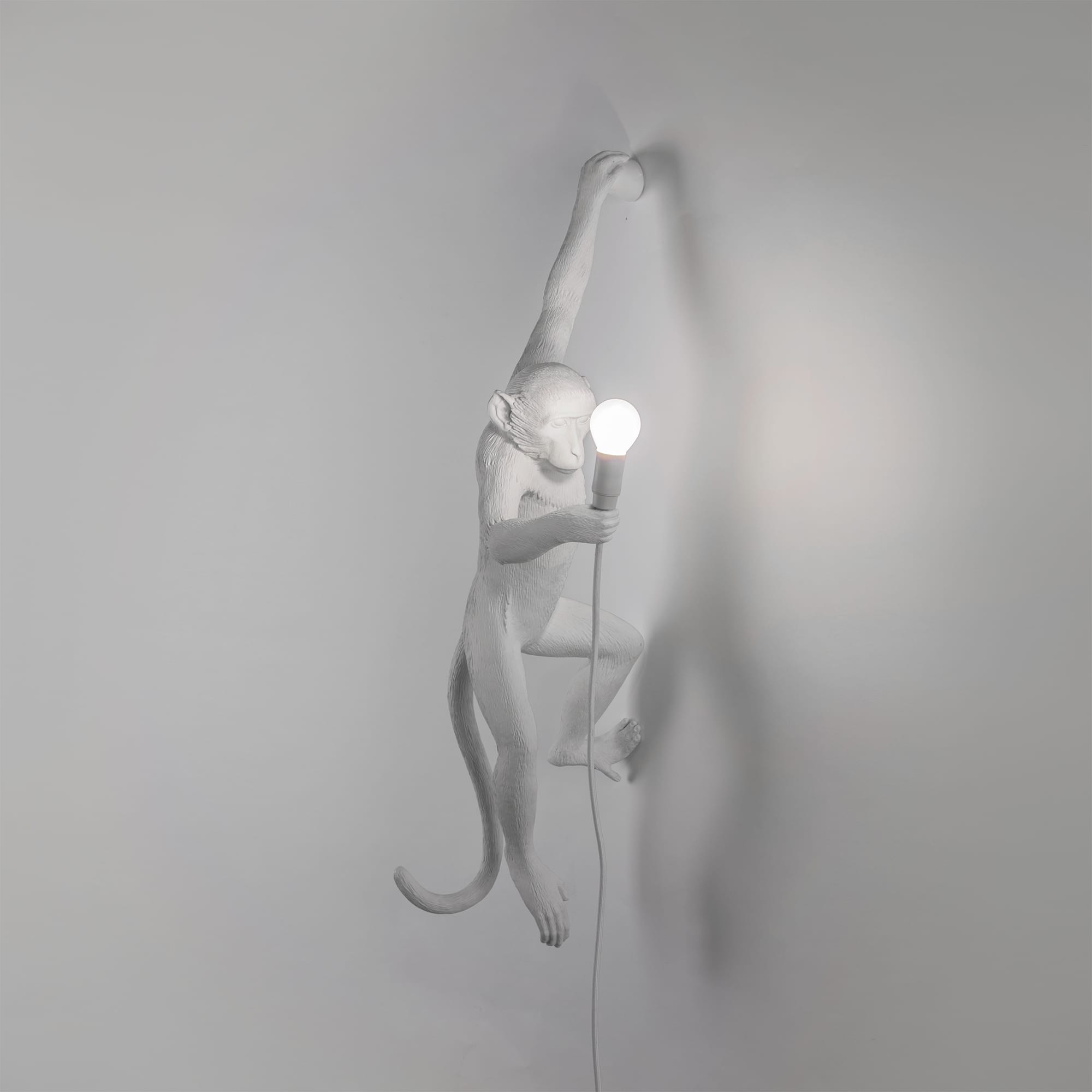 Marcantonio, Monkey Lamp - Hanging