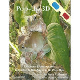 Products – Our Gallery Store